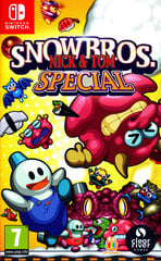 SnowBros. Nick & Tom Special Switch spēle cena un informācija | Datorspēles | 220.lv