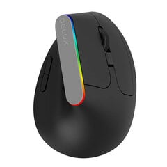 Wireless Vertical Mouse Delux M618C 2.4G 1600DPI RGB (black) цена и информация | Мыши | 220.lv