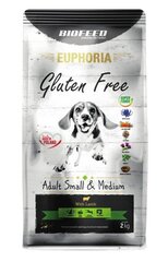 Biofeed Euphoria Gluten Free pieaugušajiem mazu un vidēju šķirņu suņiem ar jēru, 2 kg цена и информация |  Сухой корм для собак | 220.lv