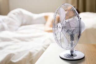 Ventilators - Eldom WGC40 cena un informācija | Ventilatori | 220.lv