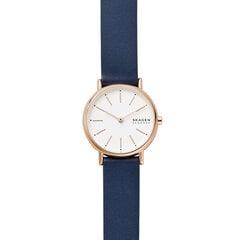 Skagen Signatur женские часы цена и информация | Женские часы | 220.lv