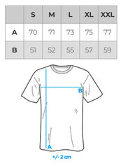 T-krekls vīriešu Ombre OM-TSCT-0108 cena un informācija | Vīriešu T-krekli | 220.lv
