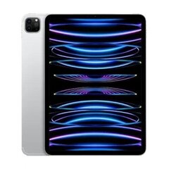 Apple iPad Pro 11" (2022) 128GB WiFi (Klase A (Ļoti labs stāvoklis, lietots)) cena un informācija | Planšetdatori | 220.lv