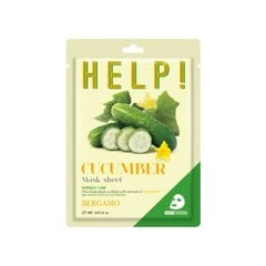 BERGAMO Palīdzība! Cucumber Mask Sheet 25 ml - Izlīdzinoša lokšņu maska ar gurķu ekstraktu BERGAMO HELP! cena un informācija | Sejas maskas, acu maskas | 220.lv