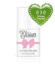 Hibrīda nagu laka Elisium UV Gel Polish 030 Green Cactus, 8ml cena un informācija | Nagu lakas, stiprinātāji | 220.lv