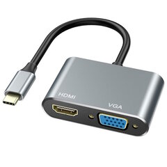 iLike HD4 2in1 Видеоадаптер - Конвертер с USB-C на Hdmi 4K 30Гц / VGA монитор Серебристый цена и информация | Адаптеры и USB разветвители | 220.lv