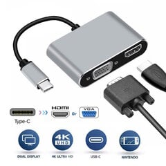 iLike HD4 2in1 Видеоадаптер - Конвертер с USB-C на Hdmi 4K 30Гц / VGA монитор Серебристый цена и информация | Адаптеры и USB разветвители | 220.lv