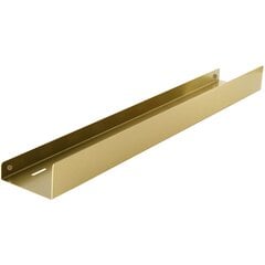 Vannas istabas plaukts SF04 60cm gold brush cena un informācija | Vannas istabas aksesuāri | 220.lv