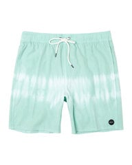 RVCA Manic beach vīriešu peldšorti цена и информация | Плавки, плавательные шорты | 220.lv