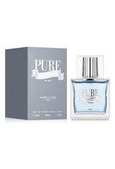 Tualetes ūdens Pure Dreamer EDT vīriešiem, 100 ml cena un informācija | Vīriešu smaržas | 220.lv