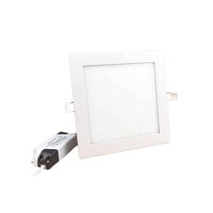 12W LED lampa / laterna, 120°, 170x170mm cena un informācija | Sienas lampas | 220.lv