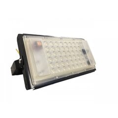 Āra lampa 50W IP65 LED цена и информация | Фонари и прожекторы | 220.lv