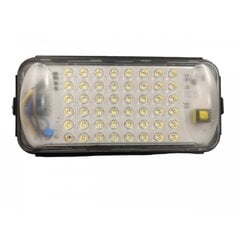 Āra lampa 50W IP67 LED цена и информация | Фонари и прожекторы | 220.lv