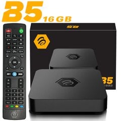 BuzzTV B5 16GB Android 11 цена и информация | Мультимедийные проигрыватели | 220.lv