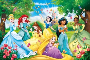 puzzle clementoni princesses 60 gabali 26471 cena un informācija | Puzles, 3D puzles | 220.lv