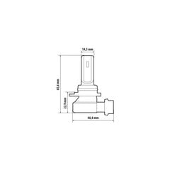 Halo Led HIR9012 15 Вт PX22d 1 шт. цена и информация | Автомобильные лампочки | 220.lv