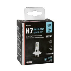 Halo Led H7 22W PX26d 1 gab cena un informācija | Auto spuldzes | 220.lv