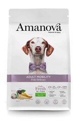 Amanova Adult Mobility Fish Delicacy для взрослых собак с рыбой, 2 кг цена и информация | Сухой корм для собак | 220.lv