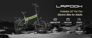 Elektriskais velosipēds Laifook CityFun, 20", zaļš cena un informācija | Elektrovelosipēdi | 220.lv