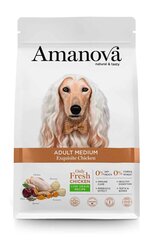 Amanova Adult Medium Exquisite Chicken pieaugušiem vidējo šķirņu suņiem, ar vistas gaļu, 2 kg цена и информация | Сухой корм для собак | 220.lv