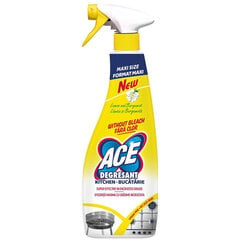 ACE virtuves aerosols, 750 ml x 2 gab. cena un informācija | Tīrīšanas līdzekļi | 220.lv