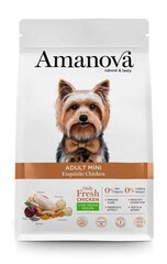 Amanova Adult Mini Exquisite Chicken pieaugušiem mazu šķirņu suņiem, ar vistas gaļu, 2 kg cena un informācija | Sausā barība suņiem | 220.lv