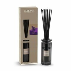 ESTEBAN Mājas aromāts "AMBRE" 75ml cena un informācija | Mājas aromāti | 220.lv