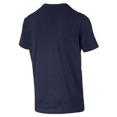 Puma T-krekli Vīriešiem Active Small Logo Blue 586725 06 cena un informācija | Vīriešu T-krekli | 220.lv