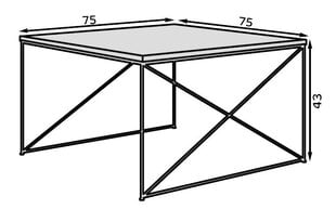 Kafijas galdiņš ADRK Furniture Nelia, brūns/zeltains cena un informācija | Žurnālgaldiņi | 220.lv