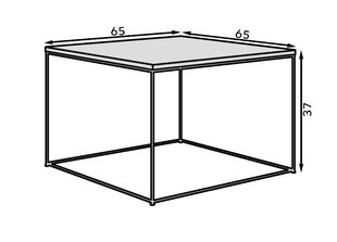 Kafijas galdiņš ADRK Furniture Roni, balts/zeltīts cena un informācija | Žurnālgaldiņi | 220.lv