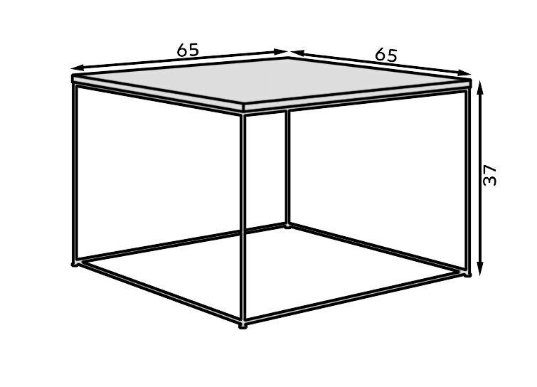 Kafijas galdiņš ADRK Furniture Roni, balts/melns cena un informācija | Žurnālgaldiņi | 220.lv