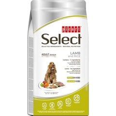 Select Adult Sensitive Lamb and Rice pilnvērtīga barība pieaugušiem suņiem 3kg cena un informācija | Sausā barība suņiem | 220.lv