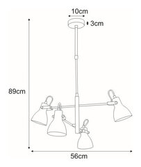 Piekaramā lampa V-8107 cena un informācija | Lustras | 220.lv