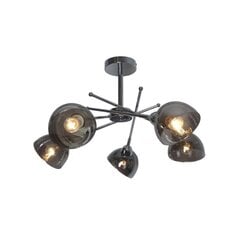 Piekaramā lampa V-JSL-1286-5-2 cena un informācija | Lustras | 220.lv