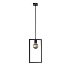 Piekaramā lampa V-4031 cena un informācija | Lustras | 220.lv