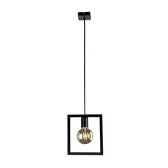 Piekaramā lampa V-4030 cena un informācija | Lustras | 220.lv