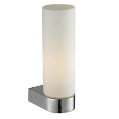 Sienas lampa V-L8906-1W цена и информация | Настенные светильники | 220.lv