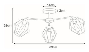 Griestu gaisma V-3770 цена и информация | Потолочные светильники | 220.lv