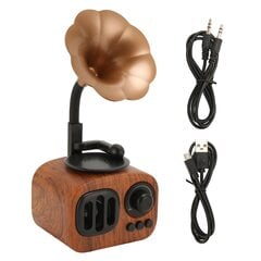 BT skaļrunis Vintage Wood Grain Pattern pārnēsājams bezvadu radio skaļrunis ceļojumiem mājās ārā cena un informācija | Skaļruņi | 220.lv