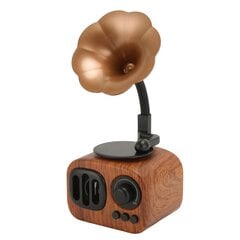 BT skaļrunis Vintage Wood Grain Pattern pārnēsājams bezvadu radio skaļrunis ceļojumiem mājās ārā cena un informācija | Skaļruņi | 220.lv