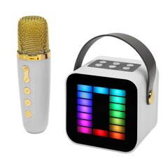 Mini karaoke mašīnas komplekts RGB pikapa gaismas digitālās apstrādes mikroshēmas rokas pārnēsājams Bluetooth skaļrunis ar baltu mikrofonu cena un informācija | Skaļruņi | 220.lv