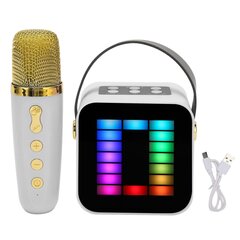 Mini karaoke mašīnas komplekts RGB pikapa gaismas digitālās apstrādes mikroshēmas rokas pārnēsājams Bluetooth skaļrunis ar baltu mikrofonu cena un informācija | Skaļruņi | 220.lv