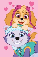 Jerry Fabrics детское плед Paw Patrol PP518, 100x150 см цена и информация | Покрывала, пледы | 220.lv