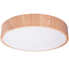 Piekaramā griestu lampa APP1404-C 30cm cena un informācija | Griestu lampas | 220.lv