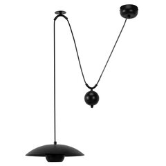 Lamp APP1450-1CP BLACK цена и информация | Люстры | 220.lv