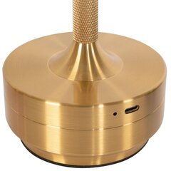 Nakts lampa APP1372-T Old Gold cena un informācija | Galda lampas | 220.lv