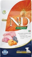 FARMINA N&D Pumpkin Dog Lamb & Blueberry Puppy Mini - сухой корм для собак - 800 г цена и информация | Сухой корм для собак | 220.lv