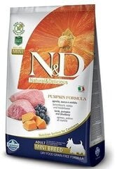 Farmina Pet Foods N&d mazo šķirņu suņiem, ar ķirbi, jēru un mellenēm, 800 g cena un informācija | Sausā barība suņiem | 220.lv