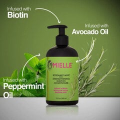 Šampūna un mitrinoša stiprinoša kondicioniera komplekts Mielle Rosemary Mint Scalp & Hair Strength, 355ml cena un informācija | Šampūni | 220.lv