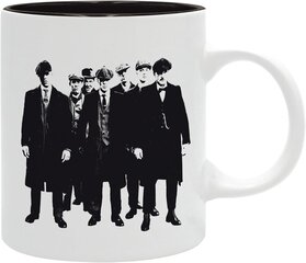 Peaky Blinders - Mug 320 ml Peaky Blinders 10th Anniversary cena un informācija | Datorspēļu suvenīri | 220.lv